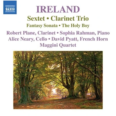 Afbeelding van Robert Plane, Sophia Rahman, Maggini Quartet Ireland: Sextet/Clarinet Trio (CD)