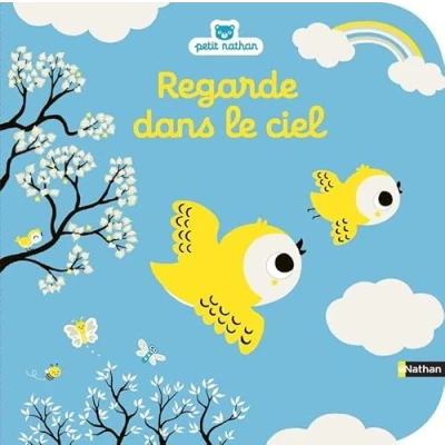 Afbeelding van Regarde dans le ciel