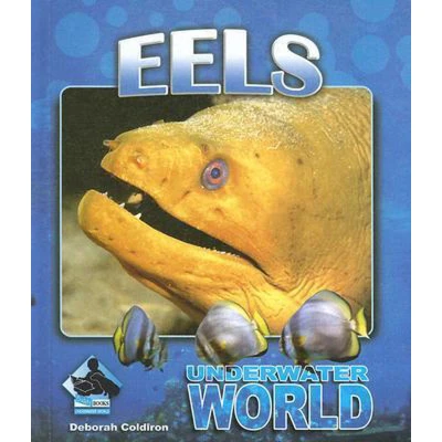 Afbeelding van Eels