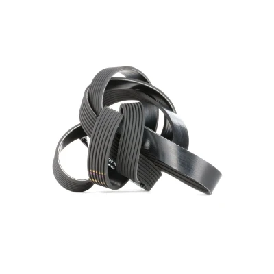Afbeelding van Poly V riem BOSCH 1 987 946 263