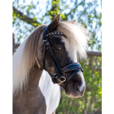 Image de HB Bride Rocky Paillettes/NoirVendu par Agradi