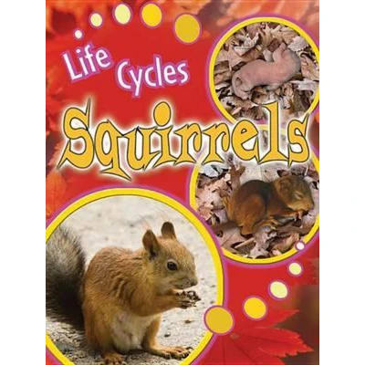 Afbeelding van Squirrels