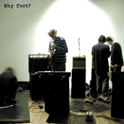 Afbeelding van Foot Why Foot? (LP)