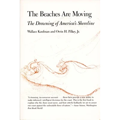 Afbeelding van The Beaches Are Moving