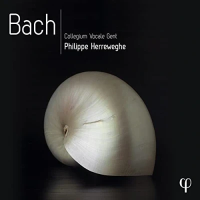 Afbeelding van Philippe Herreweghe, Collegium Vocale Gent Bach (10 CD)