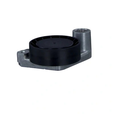 Afbeelding van Febi Bilstein Spanrol (poly) V riem 08690