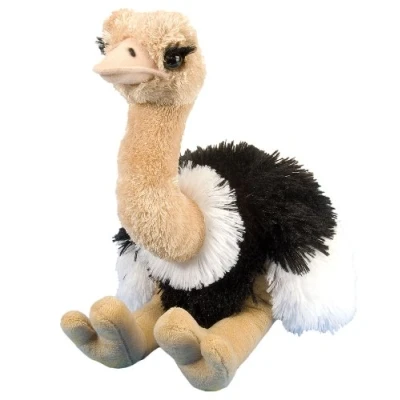 Afbeelding van Pluche gekleurde struisvogel knuffel 35 cm Struisvogels loopvogel dieren knuffels Speelgoed voor kinderen