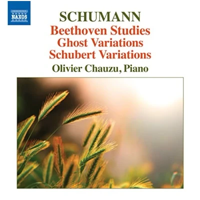 Afbeelding van Olivier Chauzu Beethoven Studies/Ghost Variations (CD)