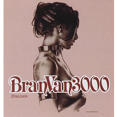 Afbeelding van Bran Van 3000 Discosis (CD)