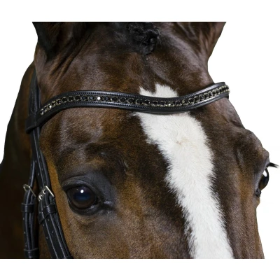 Afbeelding van Trust Frontriem Black Diamants Zwart/Zilver Cob