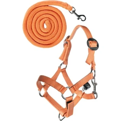 Afbeelding van HKM Halster set Hobby Horsing Oranje