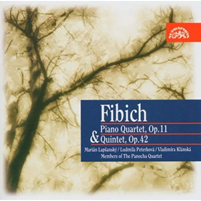 Afbeelding van Various Artists Fibich: Piano Quartet, Op. 11 &amp; Quintet, 42 (CD)