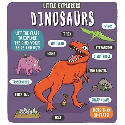 Afbeelding van Little Explorers Dinosaurs