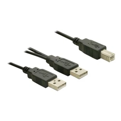 Image de DeLOCK câble USB 1 m