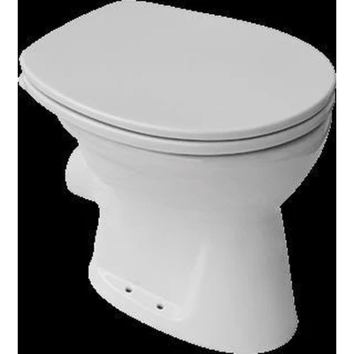 Afbeelding van Villeroy &amp; Boch Omnia Pro closetpot staand vlakspoel PK