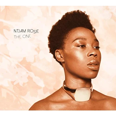 Afbeelding van Ntjam Rosie The One (CD)