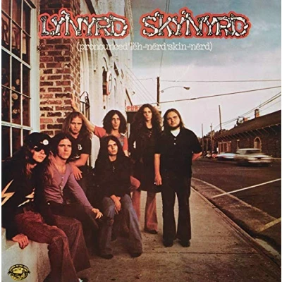 Afbeelding van Lynyrd Skynyrd Gimme Back My Bullets