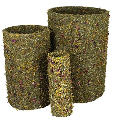 Afbeelding van JR Farm Lenterol Groot 700 gr