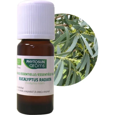 Afbeelding van Phytosun Huile Aromathérapie Essentielle Eucalyptus Radiata