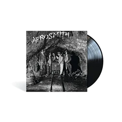 Afbeelding van Aerosmith Night In the Ruts (LP)