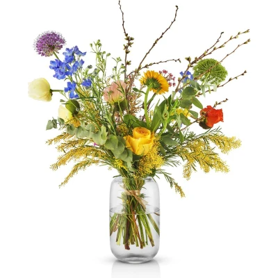 Afbeelding van Eva Solo Acorn Vaas 22 cm Clear Transparent / Glass