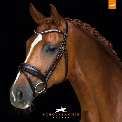 Image de Schockemöhle Bride Premium sports Concord Noir/Argent XFull