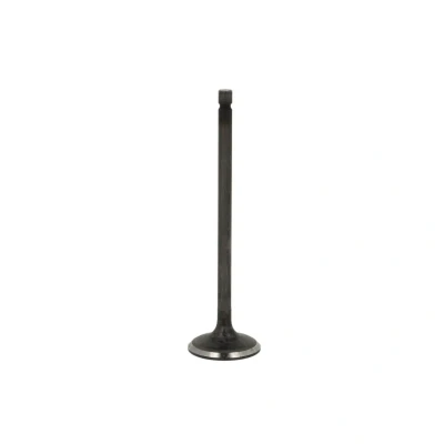 Afbeelding van Inlaatklep FRECCIA R6585/SNT