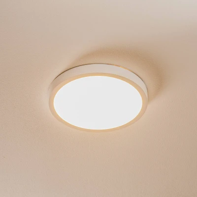 Afbeelding van Vika eenvoudige LED plafondlamp, 23 cm