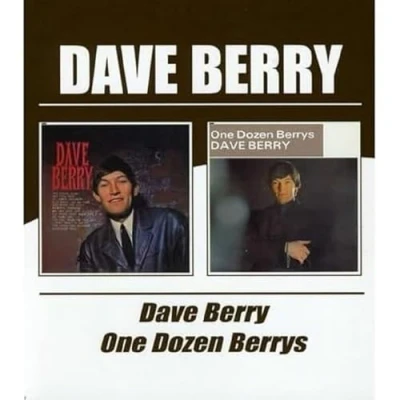 Afbeelding van Dave Berry / One Dozen
