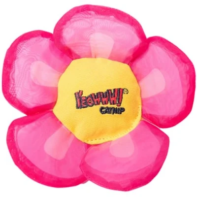 Afbeelding van Yeowww Daisey&#039;s Flower Top Pink