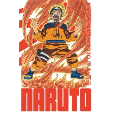 Image de Naruto édition Hokage Tome 13