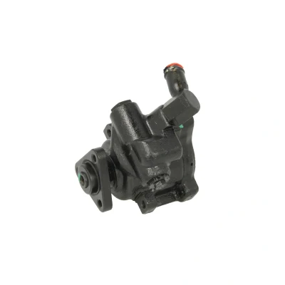 Afbeelding van Lauber Servopomp 55.0121