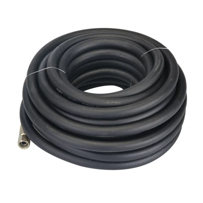 Afbeelding van Silverline Rubberen perslucht slang 10 m