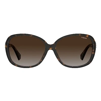 Afbeelding van Polaroid Dammes Lunettes de soleil Noir One Size