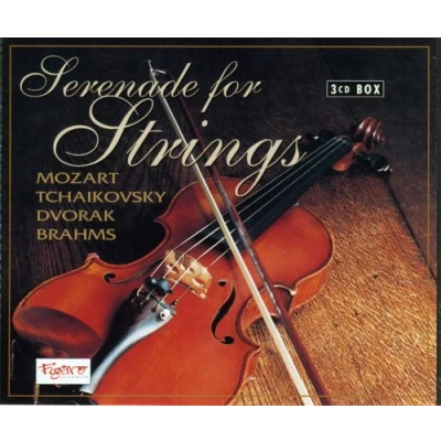 Afbeelding van Serenade For Strings