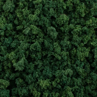 Afbeelding van Dark Green Foliage Clumps All Game Terrain 159 cm3 WLS G6463
