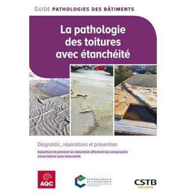 Afbeelding van La pathologie des toitures avec etancheite diagnostic repara