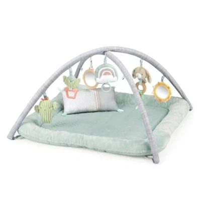Afbeelding van Plush Play Gym.