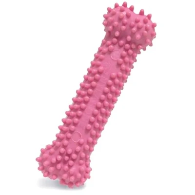 Afbeelding van Nylabone Puppy kauwbot voor wisselgebit met kipsmaak In Roze of blauw XS