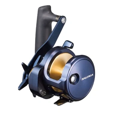 Afbeelding van Daiwa 24 Saltiga 15L Zeevis Reel RH