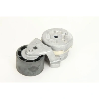 Afbeelding van DAYCO APV2454 Riemspanner