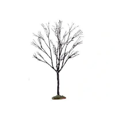 Afbeelding van Butternut tree, small LEMAX