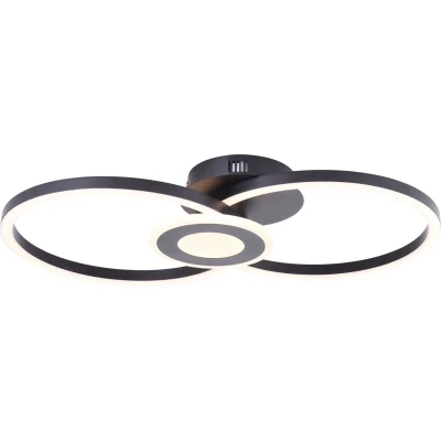 Afbeelding van BRE Light by Brilliant Bray Plafondlamp LED 24W 3000K Zwart