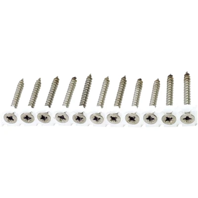 Afbeelding van Spaanplaatschroeven RVS A2 op Band 4.0 x 25 mm Pozi 2 Doos 1000 stuks