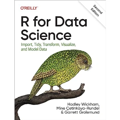 Afbeelding van R for Data Science
