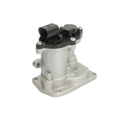 Afbeelding van ENGITECH ENT500090 EGR klep FORD: Transit Connect Mk1 Van, Galaxy Mk2 MPV, S Max Mk1, RENAULT: GRAND SCENIC 2, 2