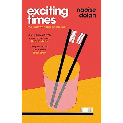 Afbeelding van Exciting TIMES the SUNDAY BESTSELLER and shortlisted for An Post Irish Book Awards 2020