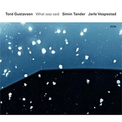 Afbeelding van Tord/Simin Tan Gustavsen What Was Said
