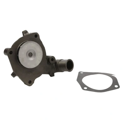 Afbeelding van THERMOTEC D1G022TT Waterpomp Met pakking Mechanisch FORD: ESCORT 5, ORION 2, 4