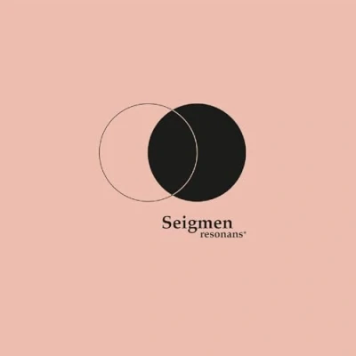 Afbeelding van Resonans